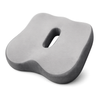Seat Cushion