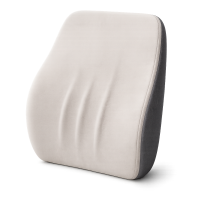 Back Support Cushion