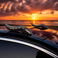 Car Roof Dragon Horn Spoiler -SP_HORN_CRB