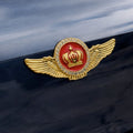Golden Crown Winged Car Emblem 3D Metal Sticker - STICKER_GOLDCROWN