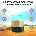 Organica Car Perfume (45 Gram) Wooden Blocks Car Air Freshener Lasting 3 - 4 Months - ORGANICA_AROMATIC_WOODS