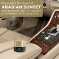 Organica Car Perfume (45 Gram) Wooden Blocks Car Air Freshener Lasting 3 - 4 Months - ORGANICA_AROMATIC_WOODS