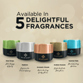Organica Car Perfume (45 Gram) Wooden Blocks Car Air Freshener Lasting 3 - 4 Months - ORGANICA_AROMATIC_WOODS